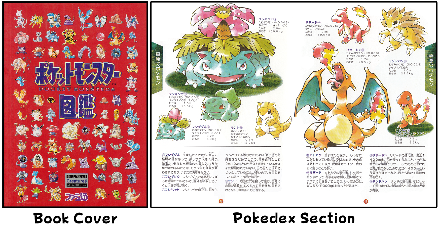 Translation: 1996 Pokédex Book (Part 3) – Lava Cut Content