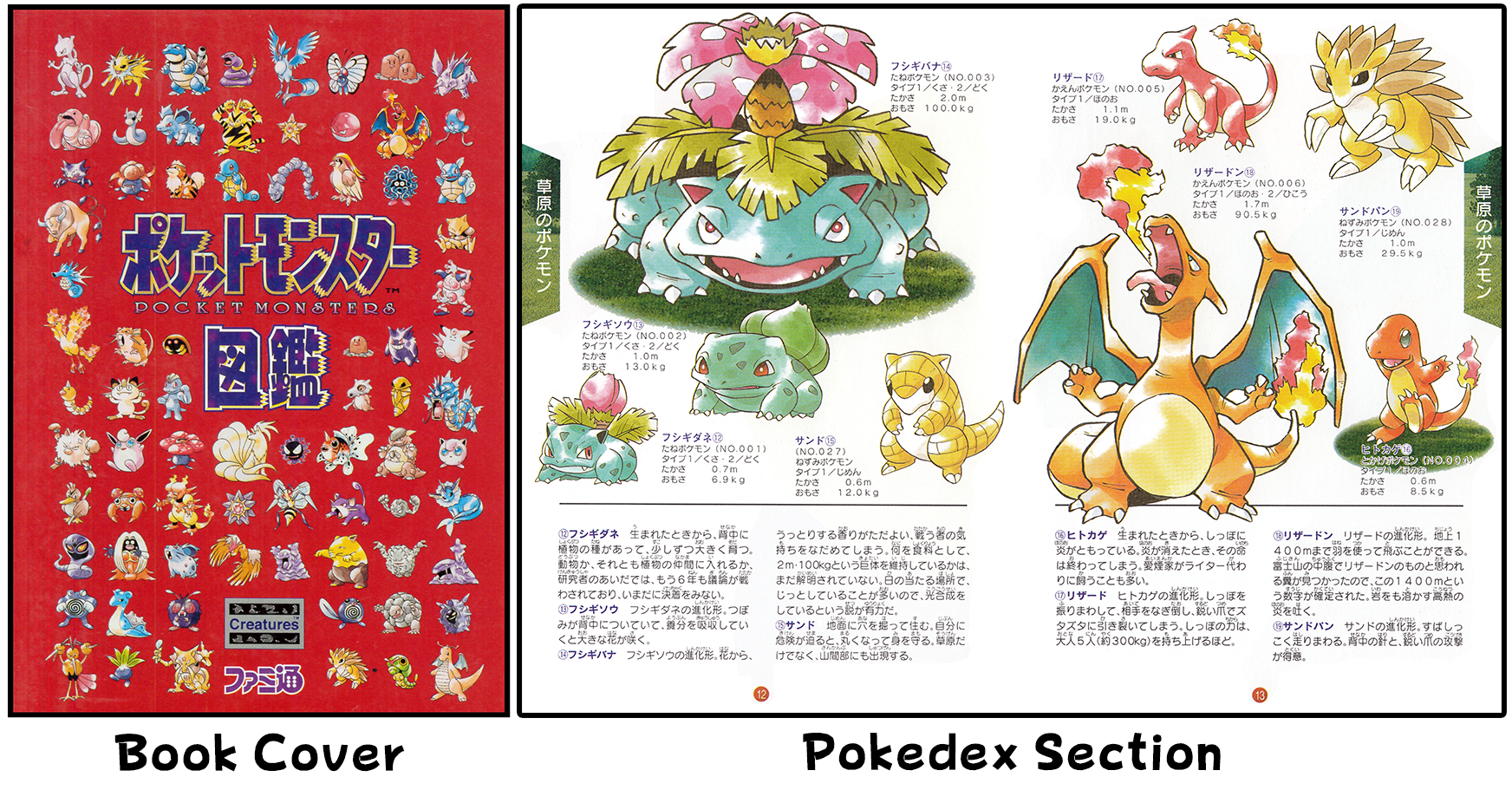 Pokedex Book 